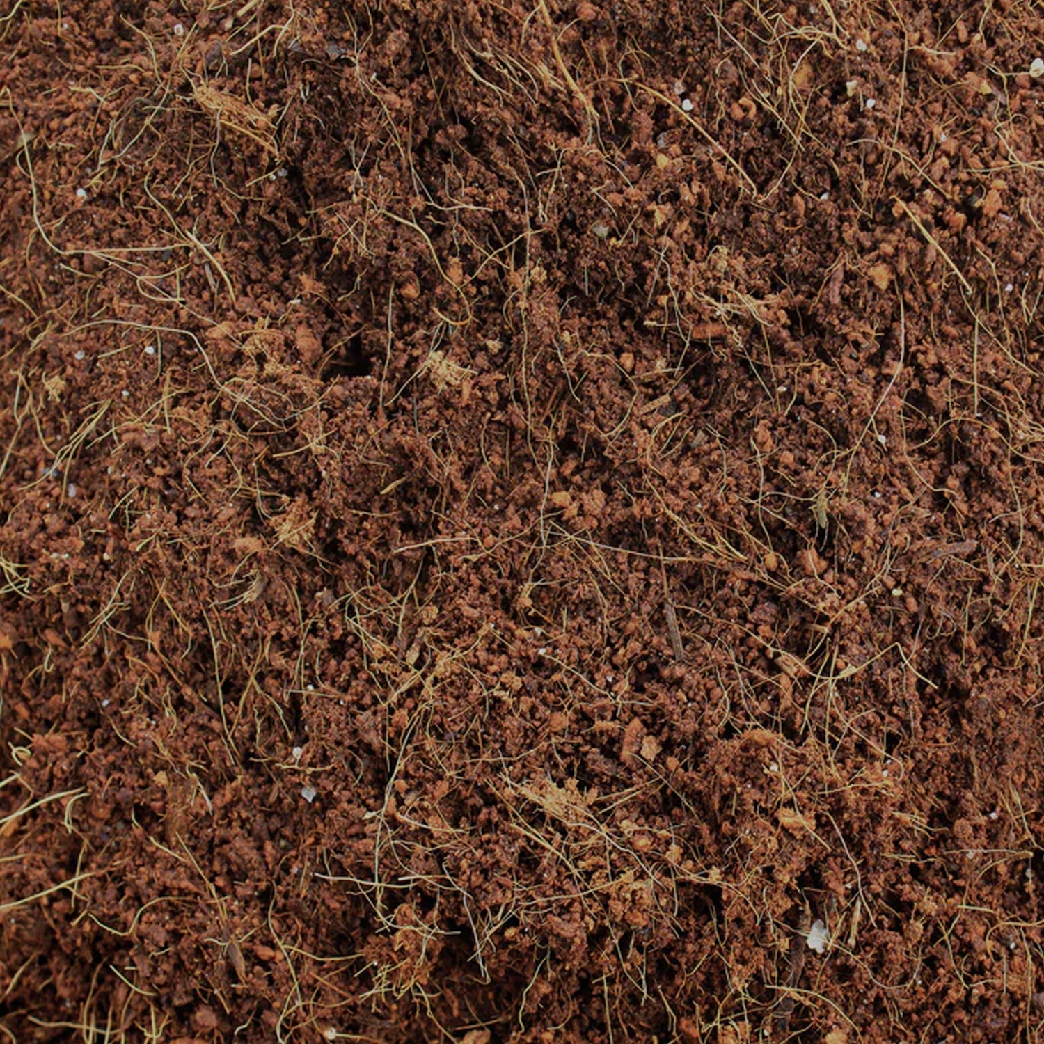 GrowEase Cocopeat GrowEase Cocopeat